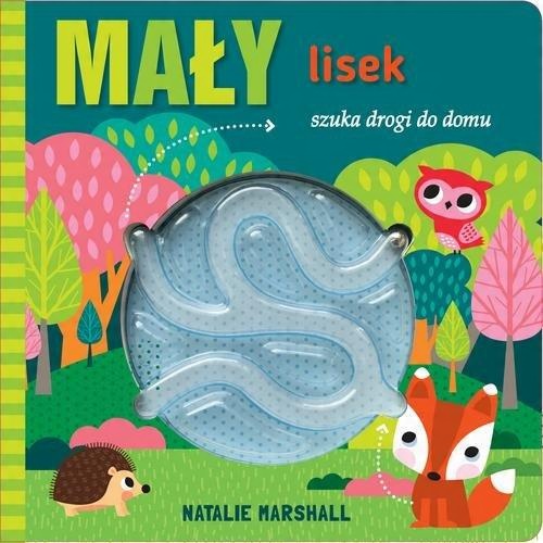 

Mały lisek szuka drogi do domu