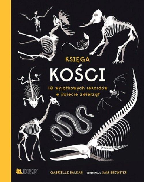 

Księga kości Gabrielle Balkan