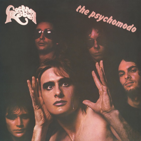 

Cockney Rebel The Psychomodo