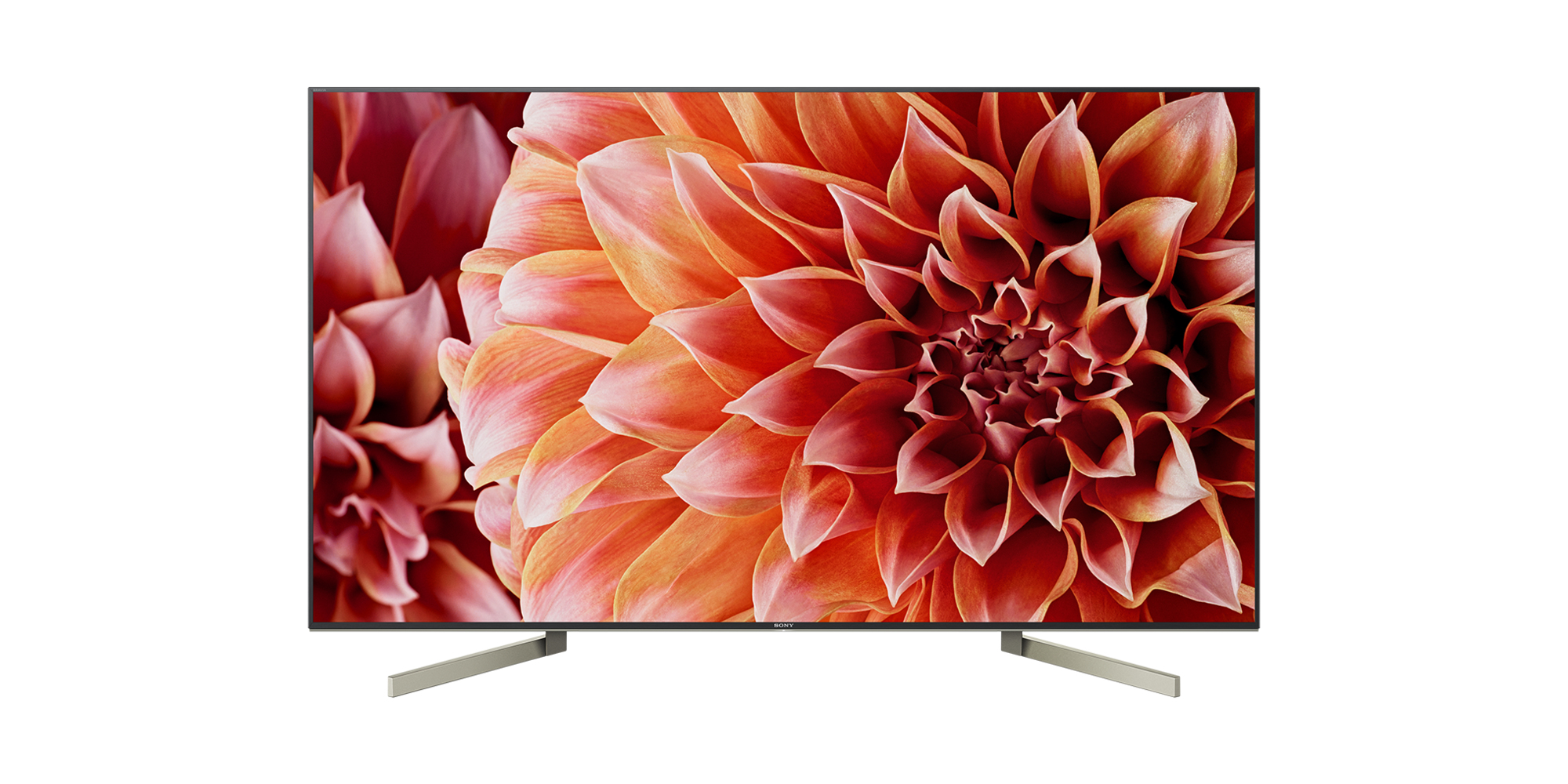 

Telewizor Sony KD-65XF9005