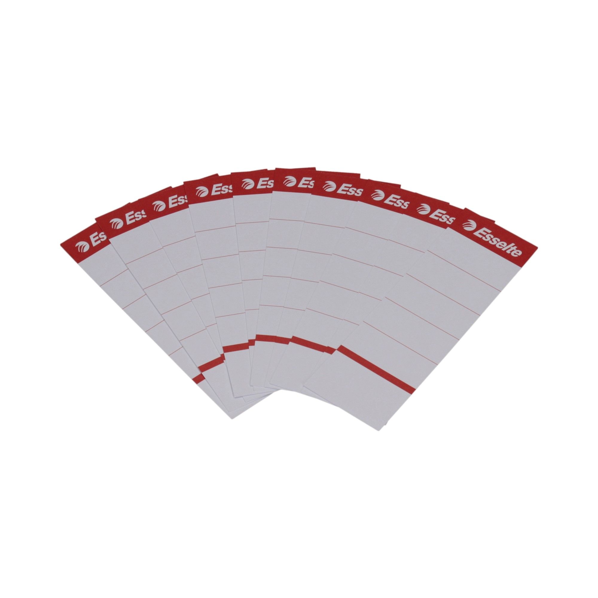 

Etykiety do segregatora 50x158mm (10) Esselte