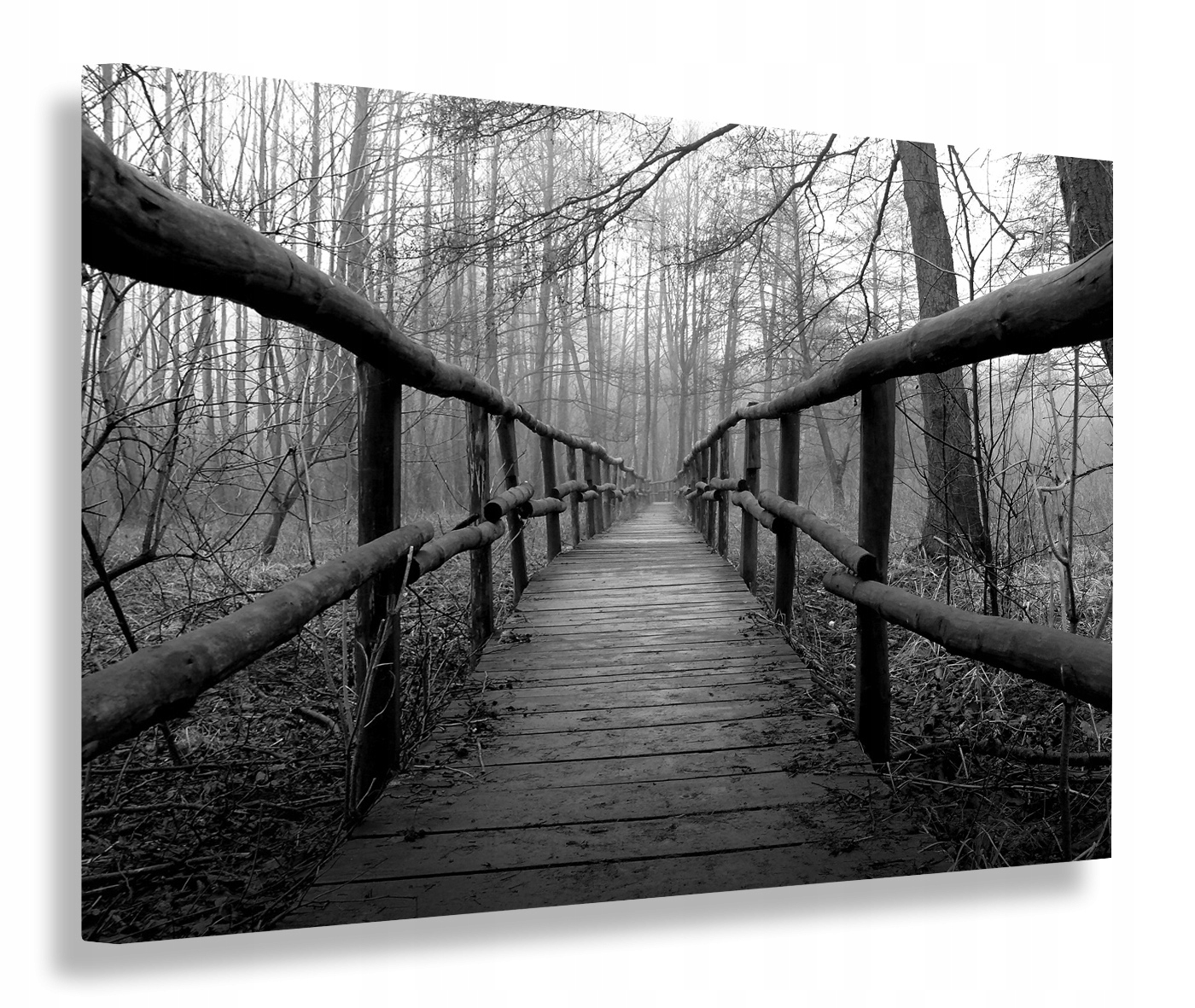 Černobílý Obraz Most Obrazy Canvas 100x70