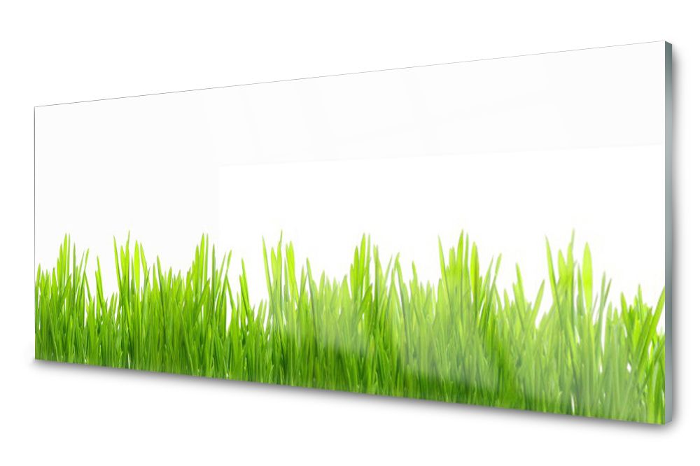 

Lacobel Panel Ścienny Foto Trawa Roślina 120x60