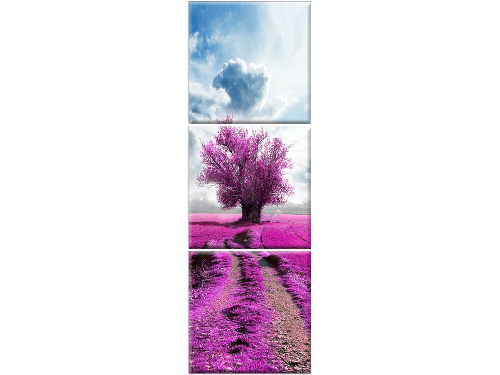 

Drzewo Pole Kwiaty 30x90 Krajobraz Tryptyk Obraz