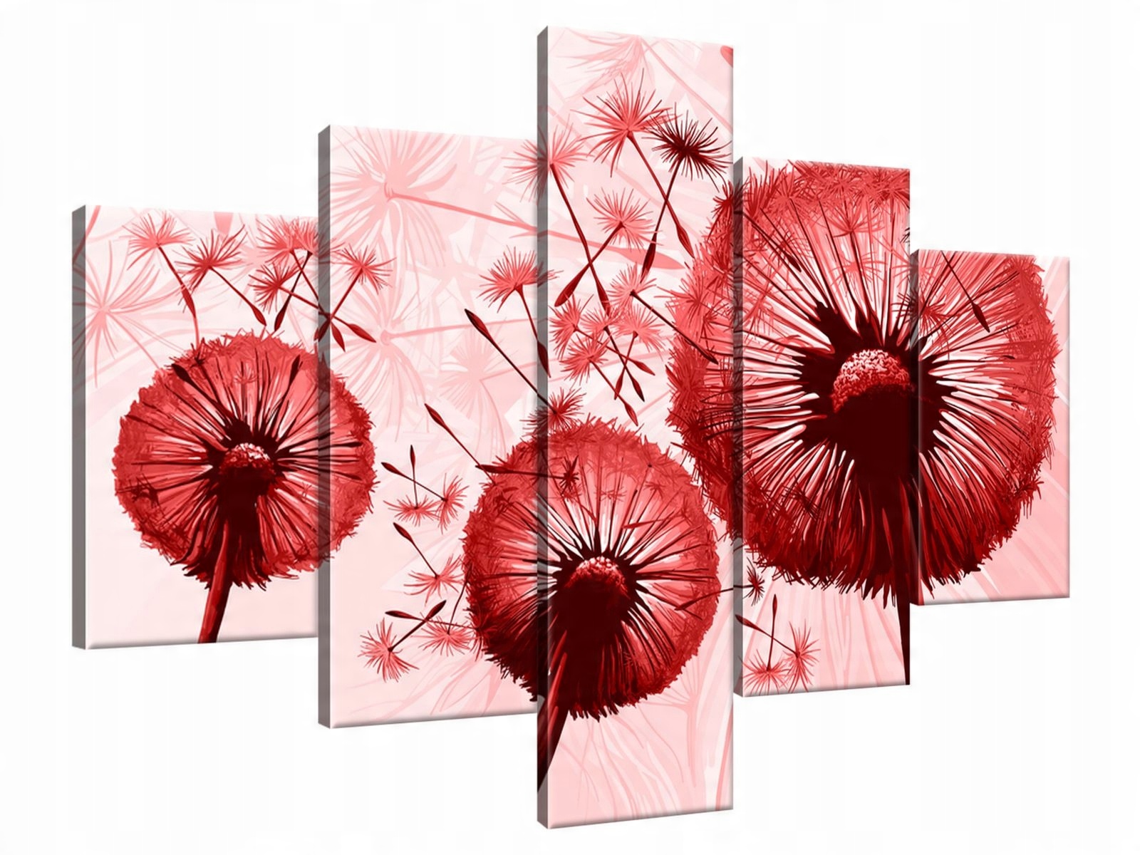 

Obraz Drukowany 100x70 Dmuchawce w czerwieni dekor