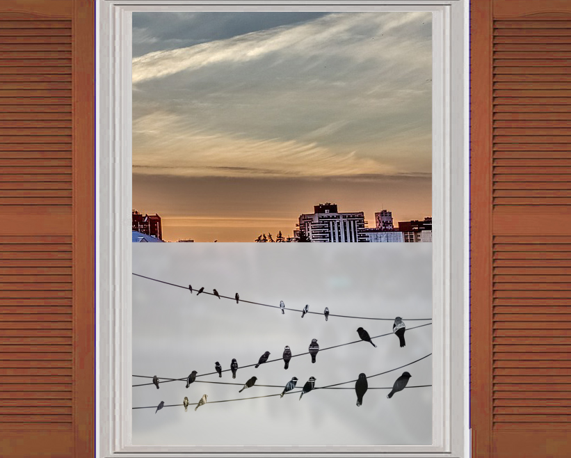 NAKLEJKA folia MATUJĄCA Piaskowane szkło ZAZDROSKA Marka Decolatte