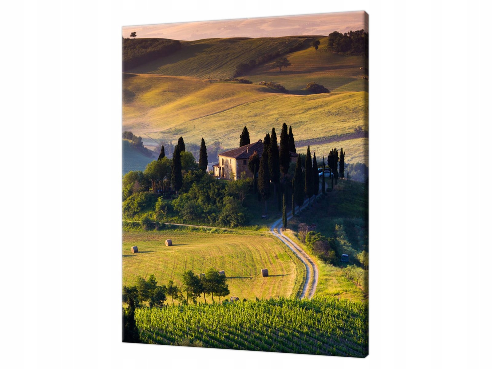 

Foto Canvas 60x75cm na Prezent Konie 3D