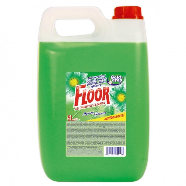 

Płyn uniwersalny do mycia podłóg Floor 5L 1szt