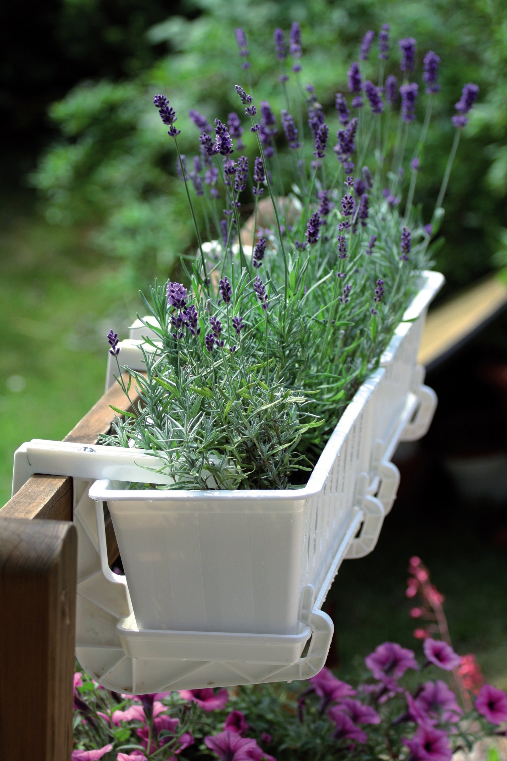 Uchwyt balkonowy HANGPLAST do doniczek Materiał wykonania tworzywo sztuczne