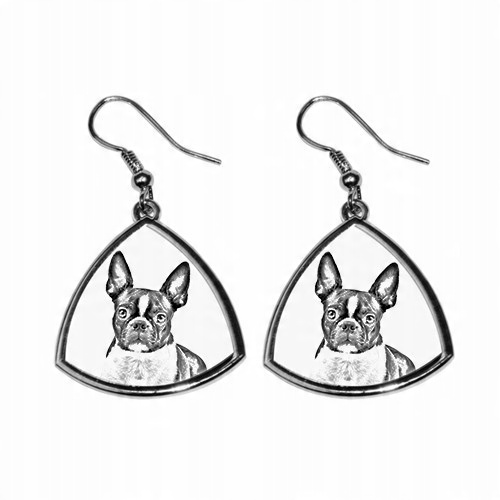 

Boston Terrier Trójkątne kolczyki z nadrukiem