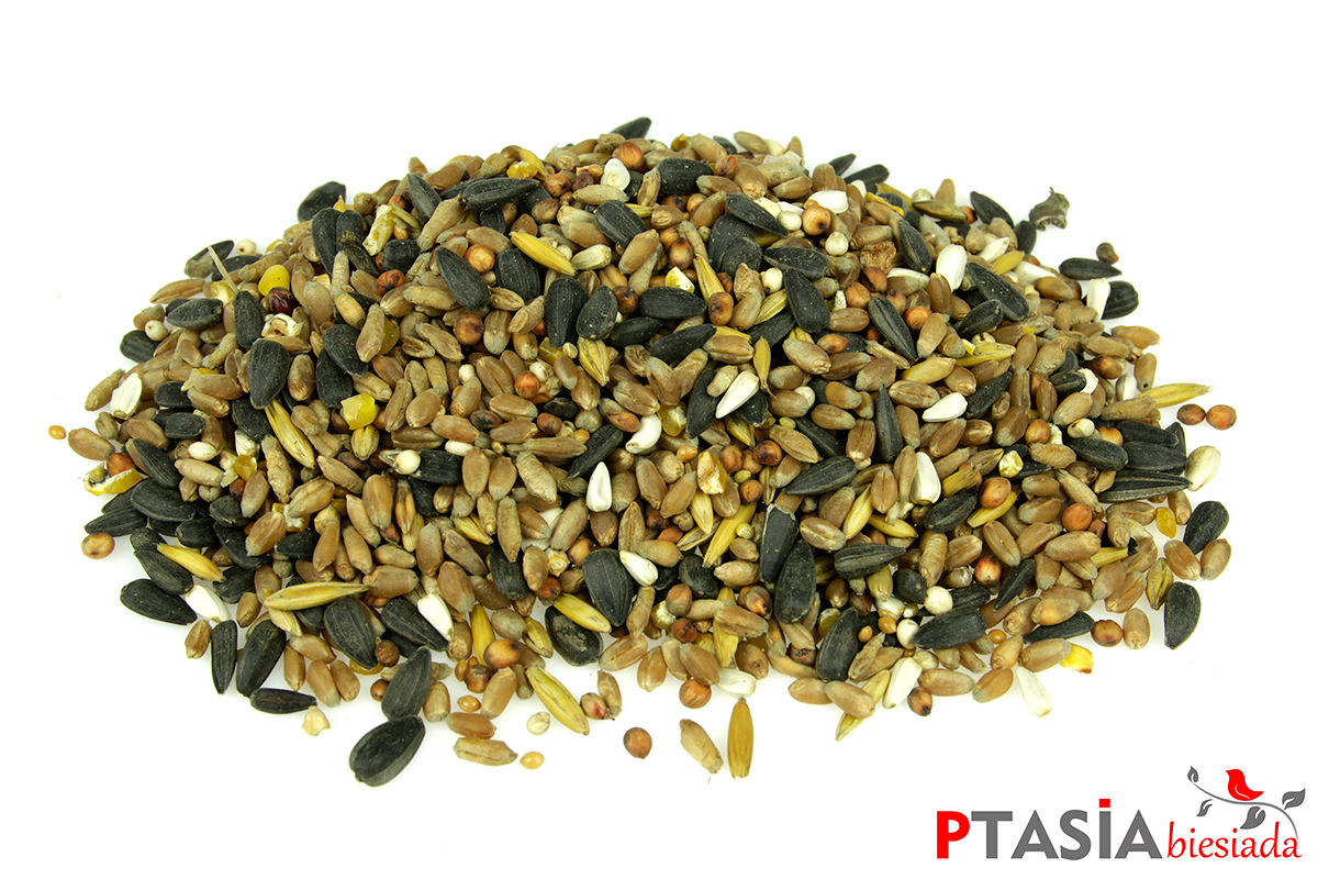 Karma dla ptaków sikorek na ZIARNO 1kg + solidny drewniany karmnik BUDKA Kod producenta Karma dla ptaków STANDARD +karmnik