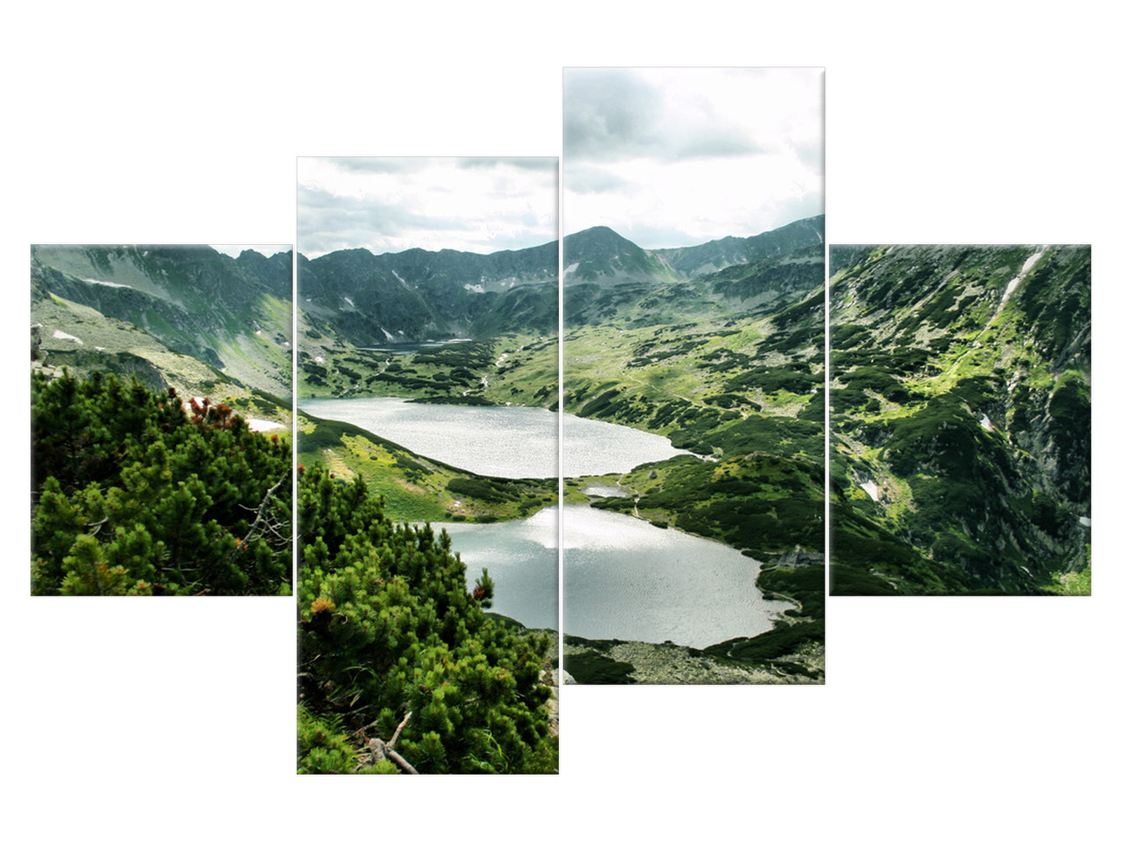 

Obraz Tatry Dolina Pięciu Stawów Rośliny 120x80