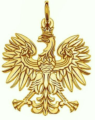 

Zawieszka wisiorek orzeł orzełek Srebro 925 pozłac