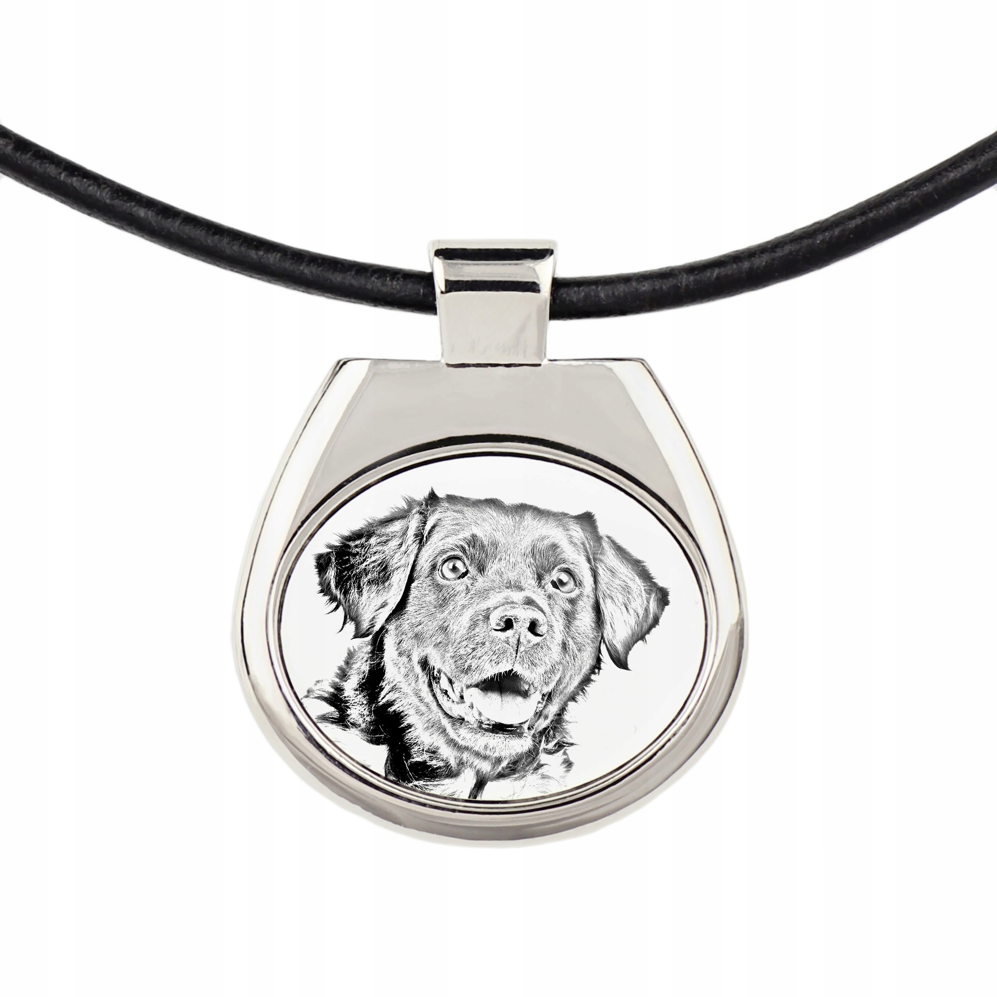 

Wyżeł fryzyjski Naszyjnik zawieszka na rzemieniu