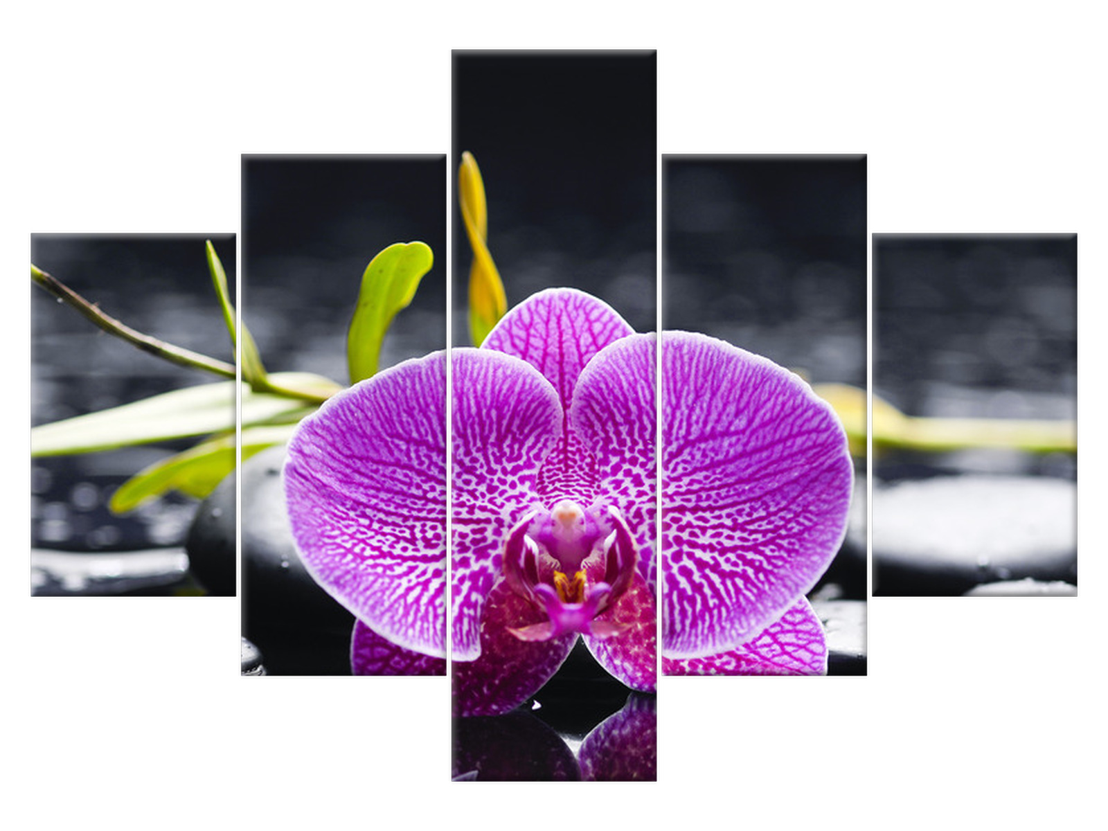 

Obraz Orchidea 100x70 Kwiaty 1159A_5A