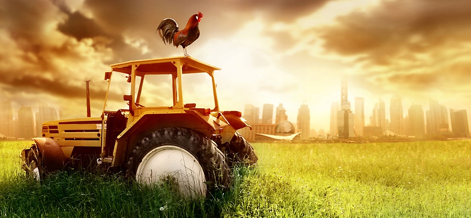 BabyOno cążki nożczki do paznokci 398 różowe zesta Marka Babyono