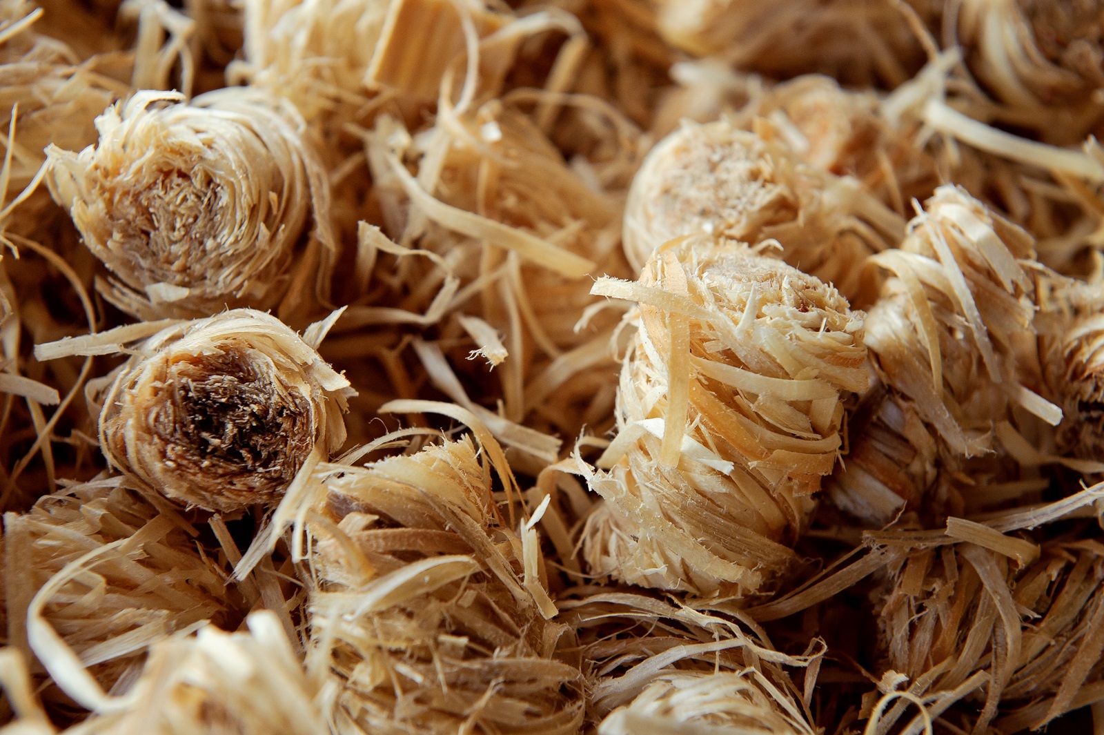 FENIKS Ekopodpałka Podpałka Rozpałka 20 szt. Kod producenta F20szt