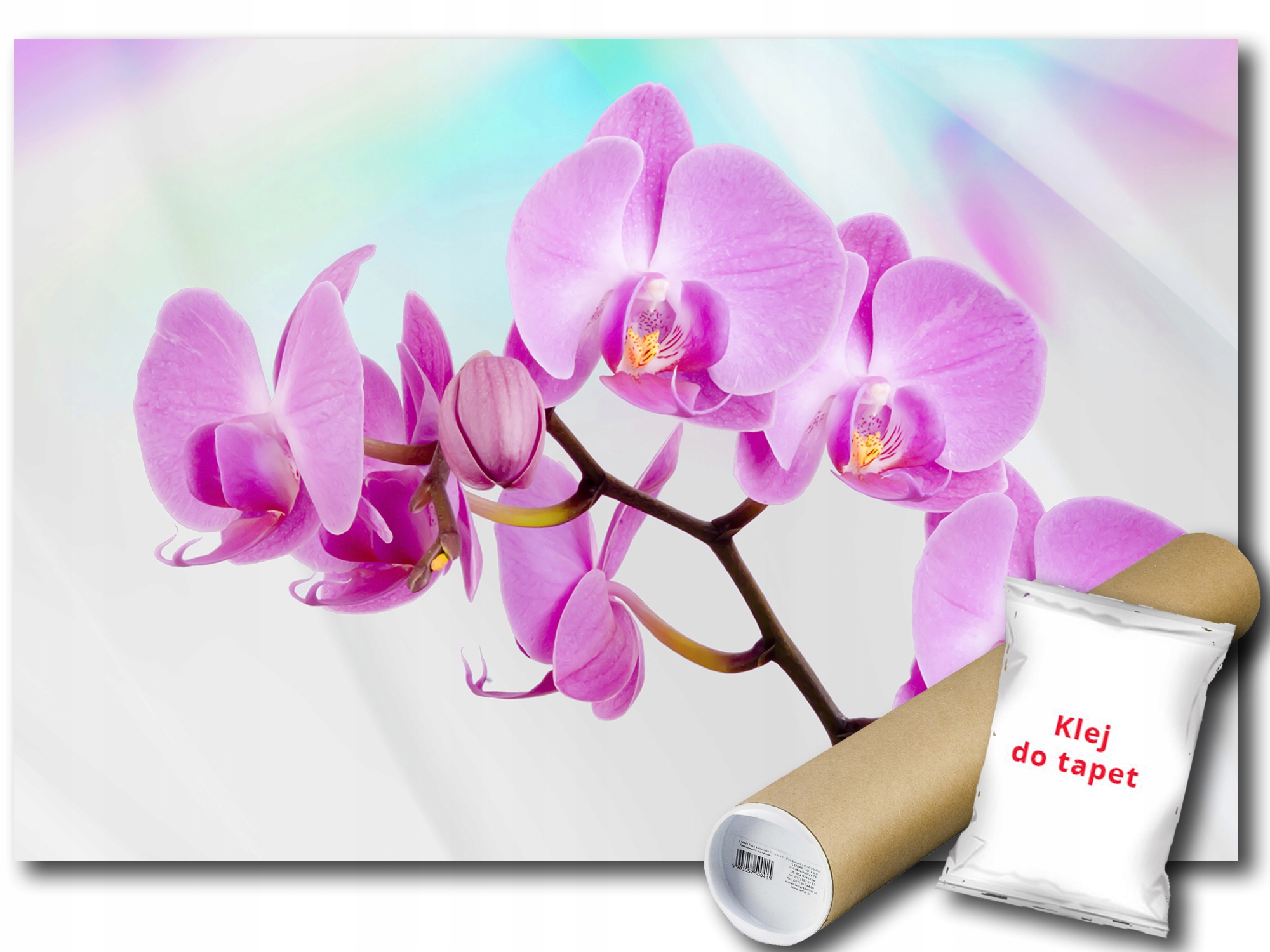 Fototapeta Růžová Orchidej 9D F2XL 312x219 F116