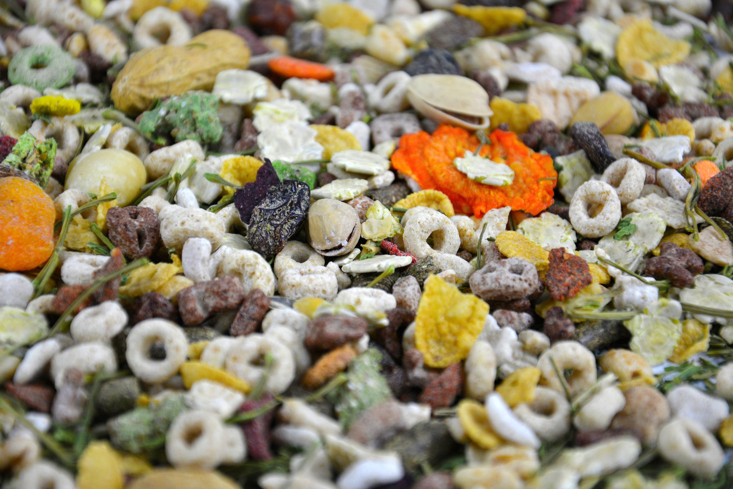 KARMA DLA GRYZONI KRÓLIKA CHOMIKA ŚWINKI 1KG Marka Gryzek