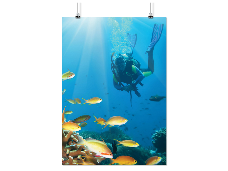 

Plakat Nurkowie Woda 100x130 CM 9 Wzorów Matowy