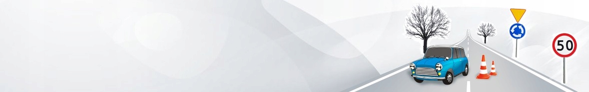 Znak drogowy B-18 dowona masa np 3,5t 400mm Typ I Marka inna