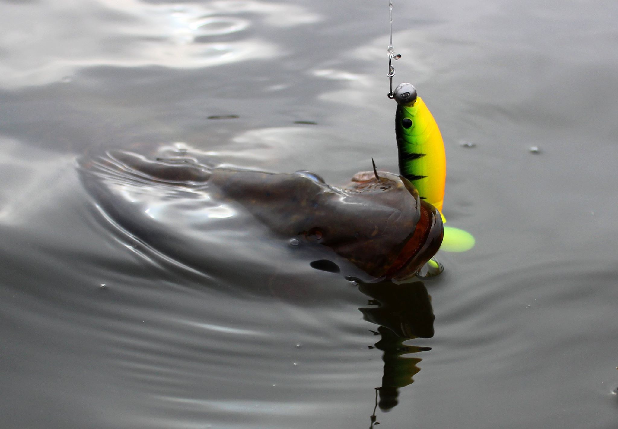 Savage Gear CANNIBAL *SUPER KILLER 15cm Yellow Red Długość 15 cm