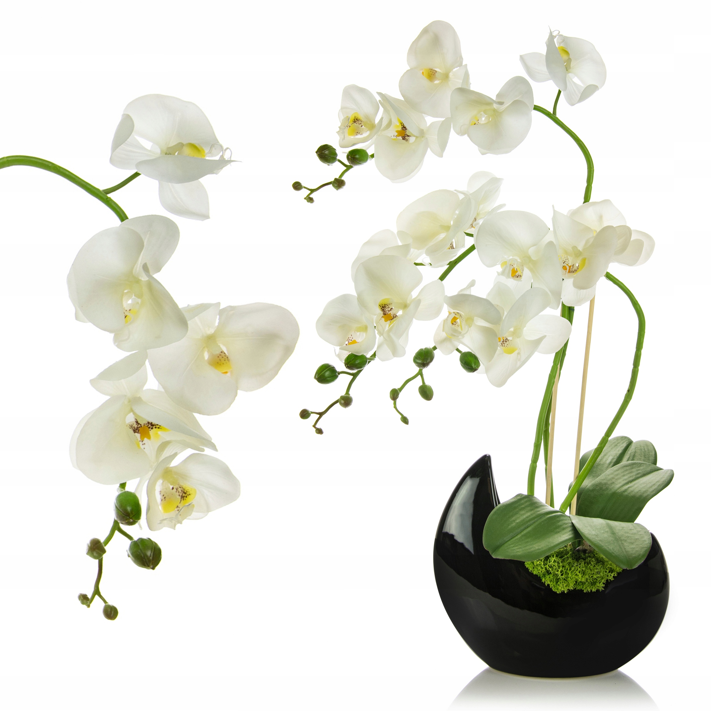 Искусственные Орхидеи Купить В Интернет Магазине