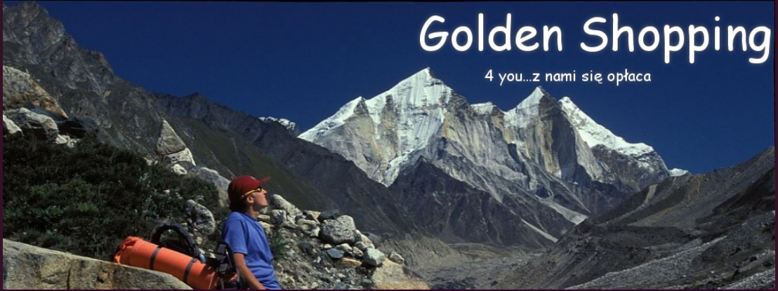 Łyżwy K2 Alexis Ice rozm. 40,5 Model ALEXIS ICE