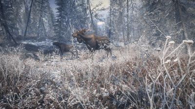 theHunter: Call of the Wild PL Steam + GRATIS Platforma PC