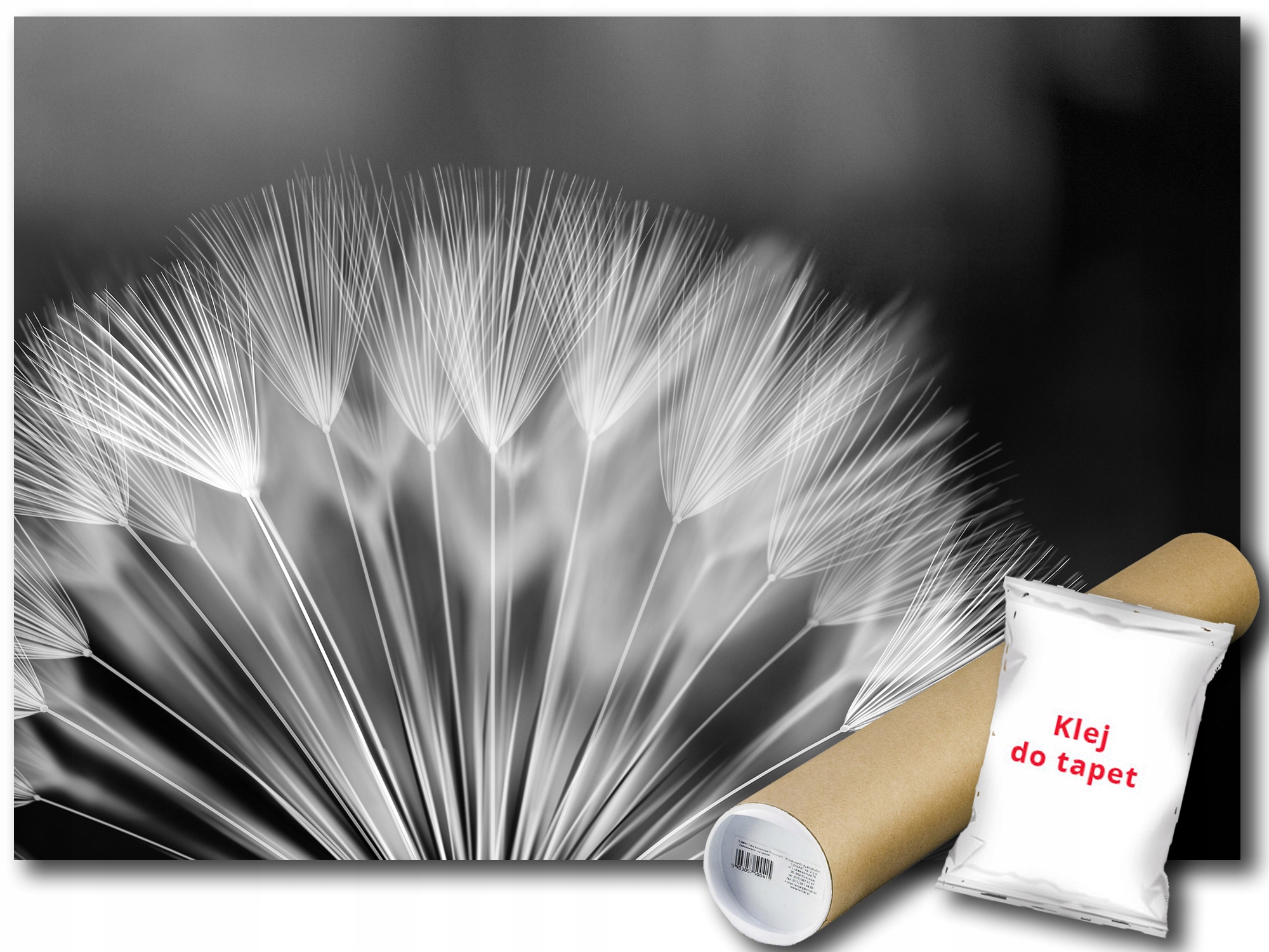 Fototapeta Flora Pampeliška 9A F3XL 416x254 F292