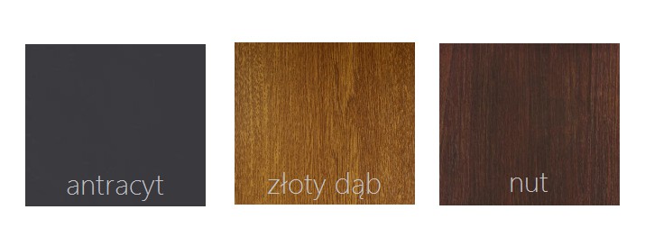 DRZWI ZEWNĘTRZE FUTURE 1 BLACK GLASS ALU Szerokość drzwi 90 cm