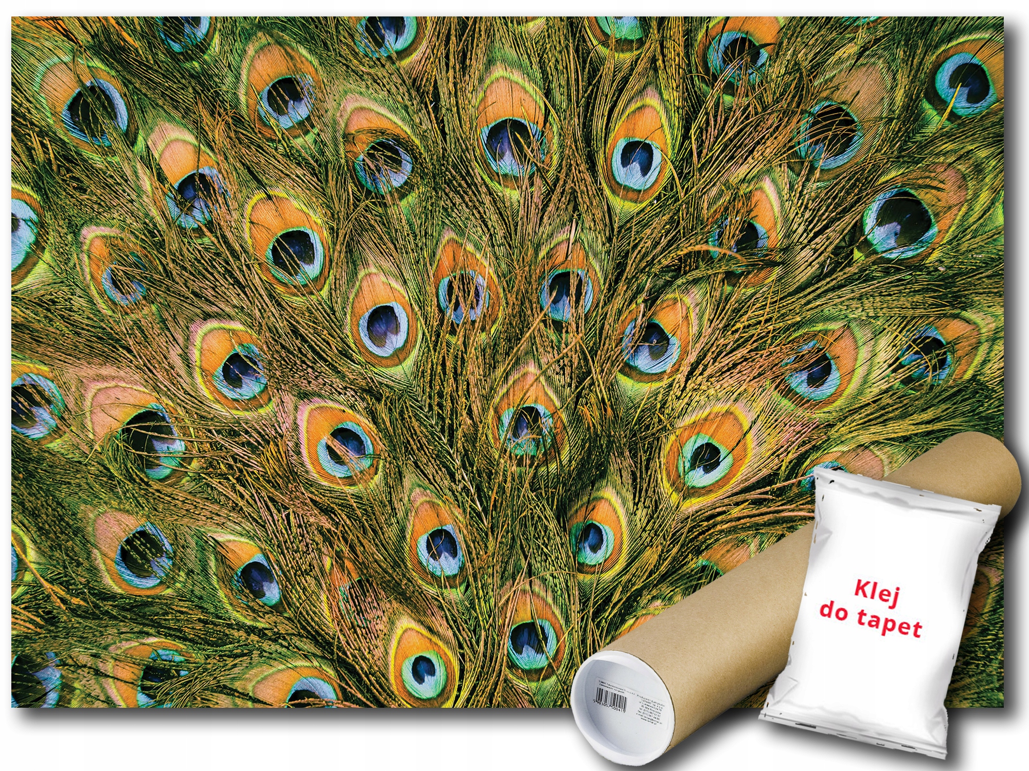 Fototapeta Páví Peří Ocas 12C V4 254x184 F11045