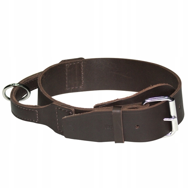 Levně Dingo Obrož S Držákem Pro Psa Kůže Soft 2,5x60