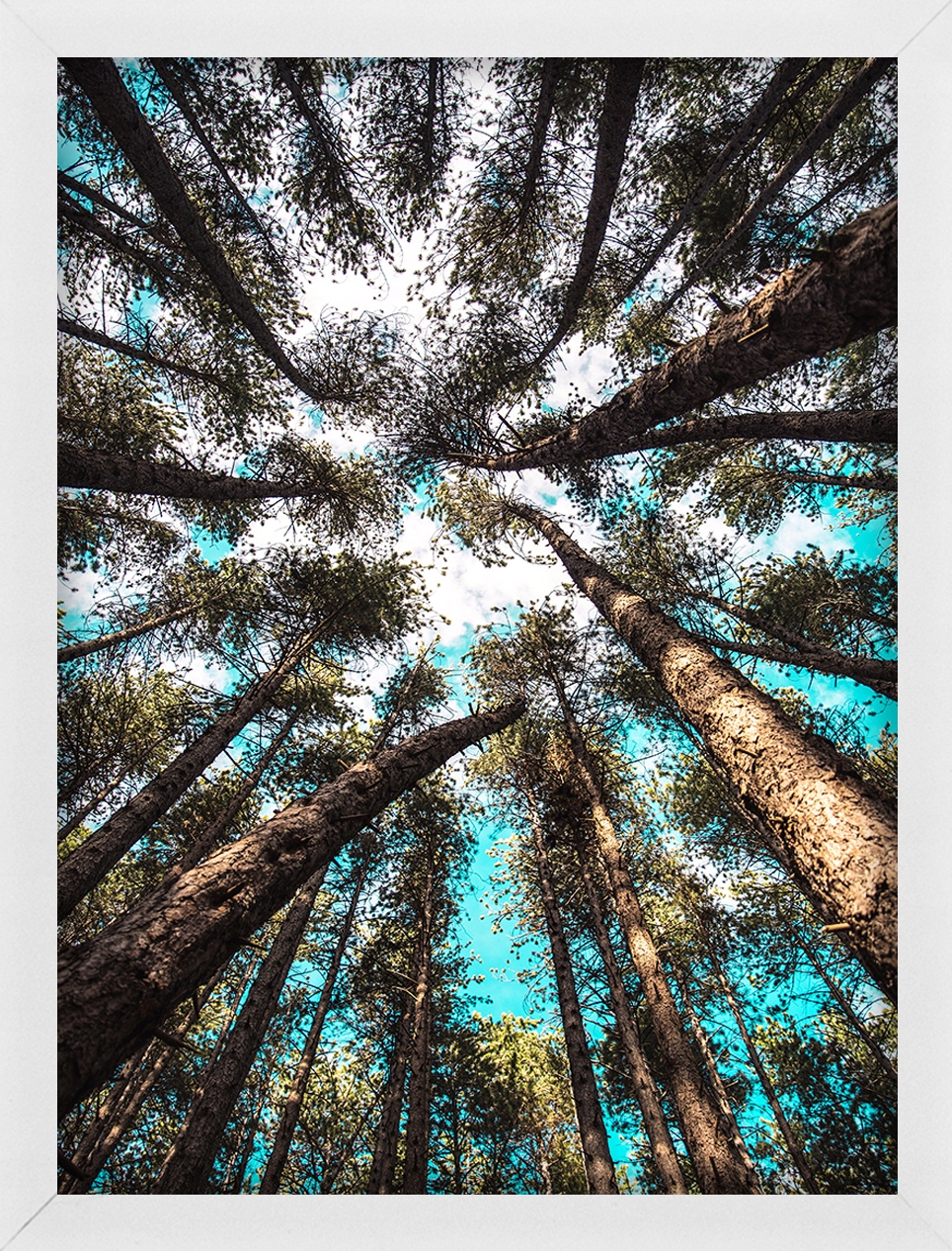 

Rama Na Zdjęcia Biała 18x24 CM – Foto Ramka