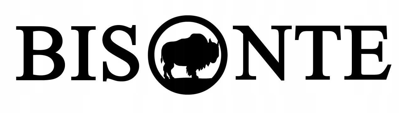 BAGAŻNIK DACHOWY DACIA DOKKER,DACIA LOGAN KOMBI PL Kolor czarny