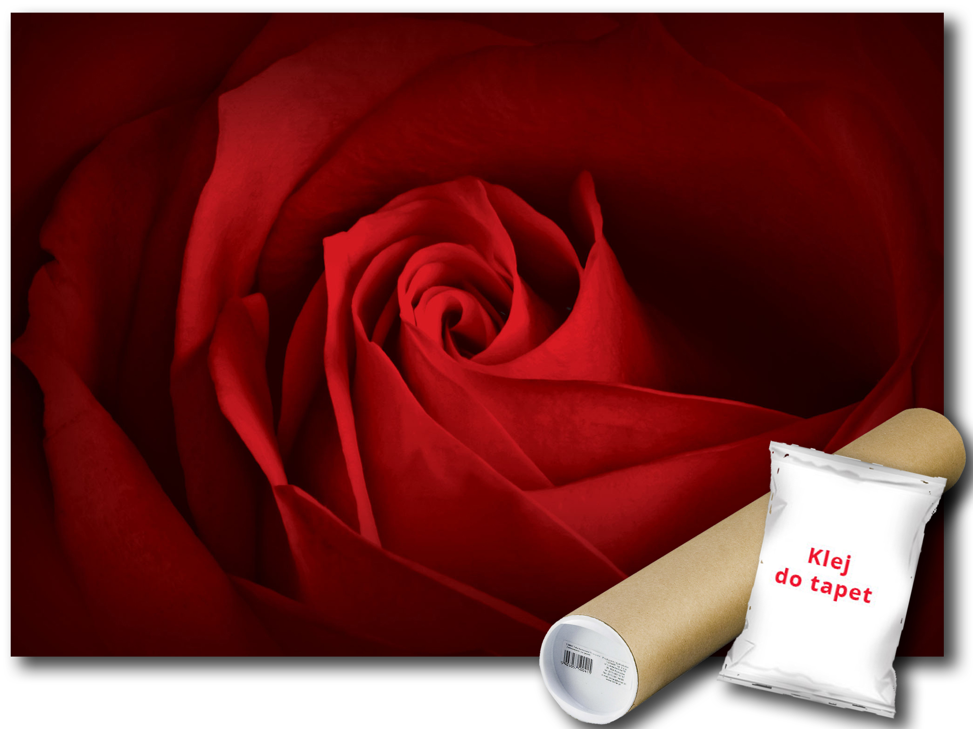 Fototapeta Červená Ruža 9B F2XL 312x219 F10151
