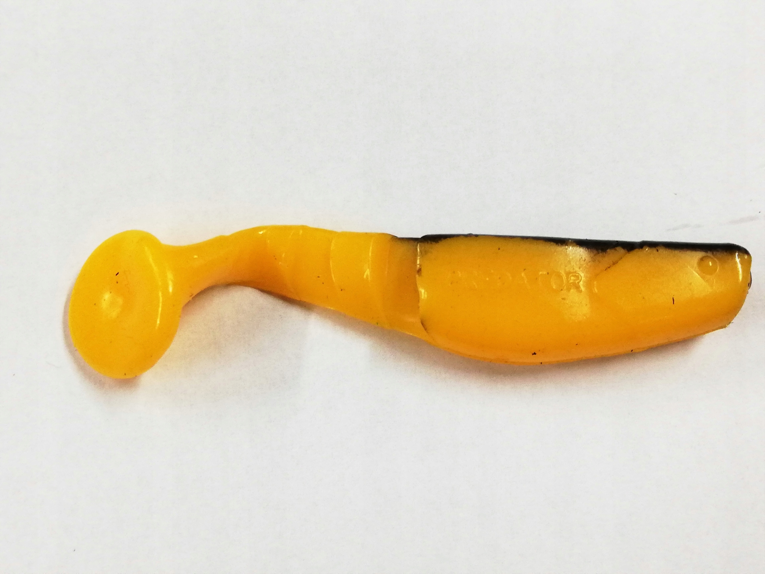 

Manns Kopyto Predator 7cm Bby Żółty Czarny Grzbiet