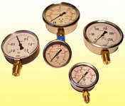 Manometr glicerynowy 25 bar Rodzaj manometr