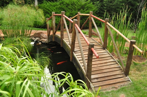 

Fototapeta 3D Pomost Park Las Drzewa Widok 64 wzór