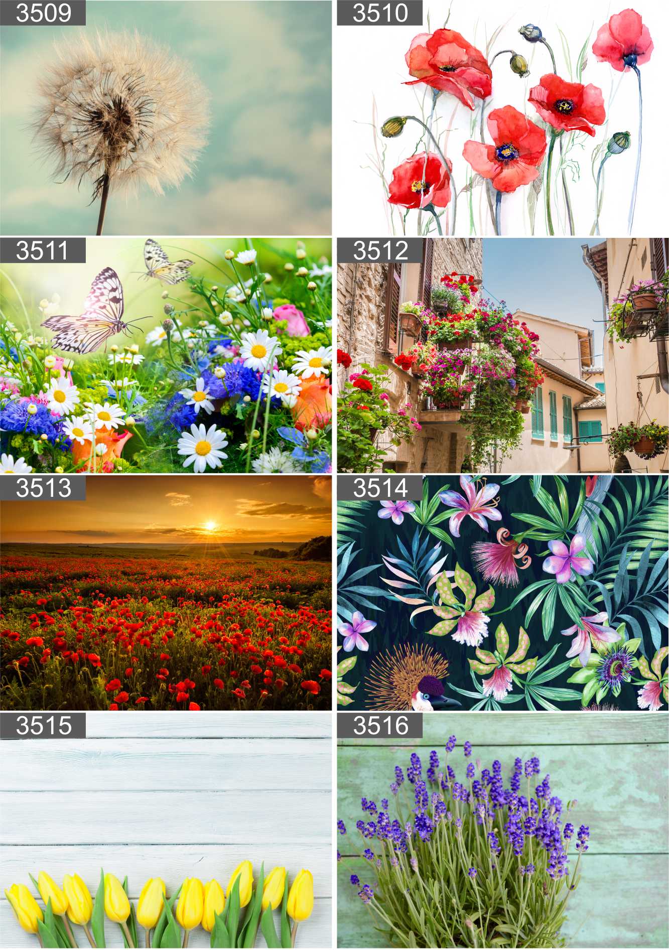 Plakat poster DMUCHAWCE 40x30 max wybór Nazwa Plakat poster DMUCHAWCE 40x30