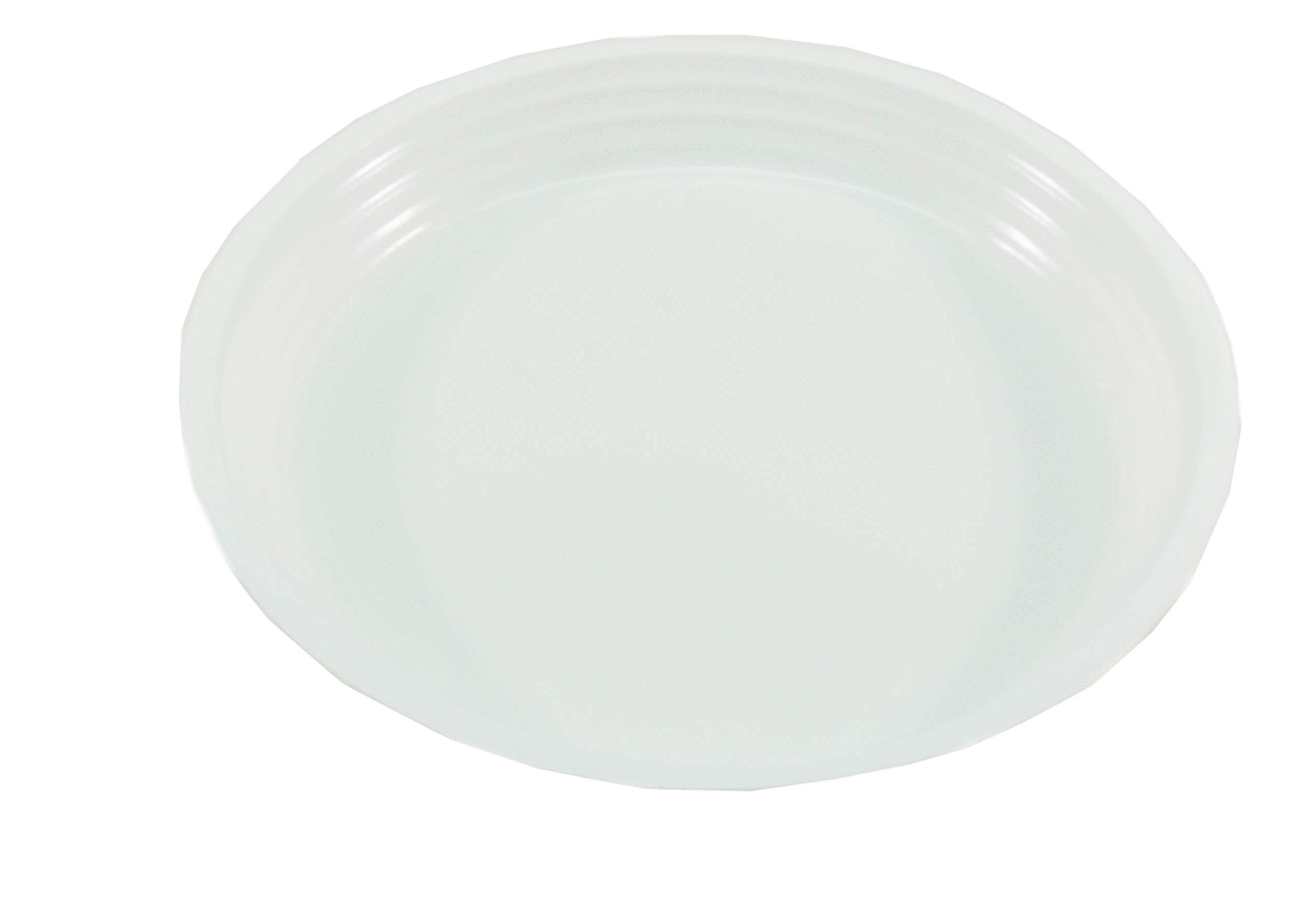 

Naczynia jednorazowe Talerze 22cm niedzielone 100