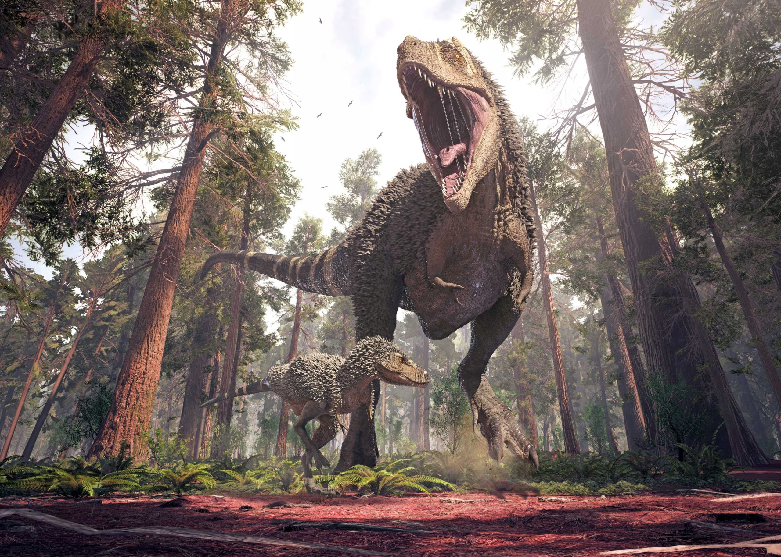 

Fototapeta 3d dinozaury dinosaury 200x133 Wybór