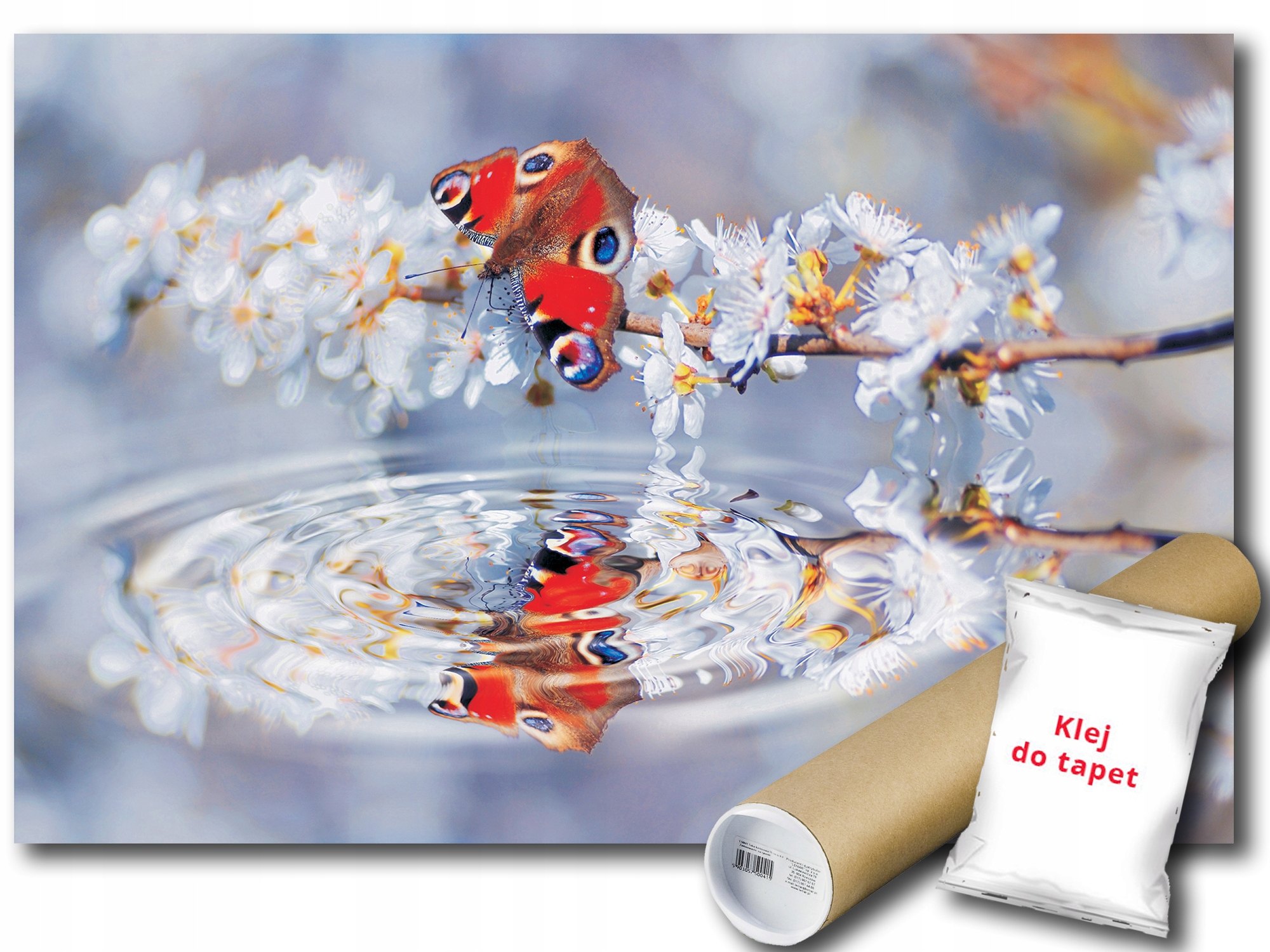 Fototapeta Motýl Květiny 12A V8 368x254 F013