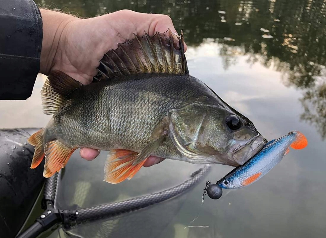 JAK ŻYWA UKLEJA SG 3D BLEAK PADDLE TAIL 13cm - FTG Kod producenta 61836