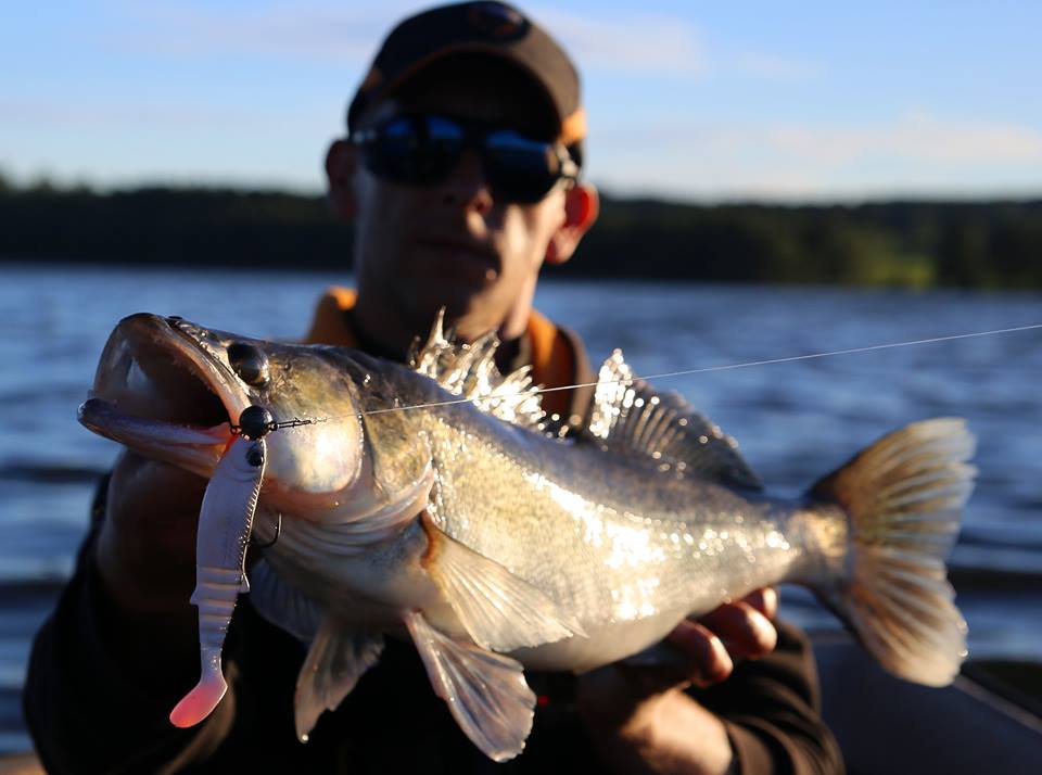 Savage Gear CANNIBAL * OKONIOWY KILLER 8cm Clown Marka Savage Gear