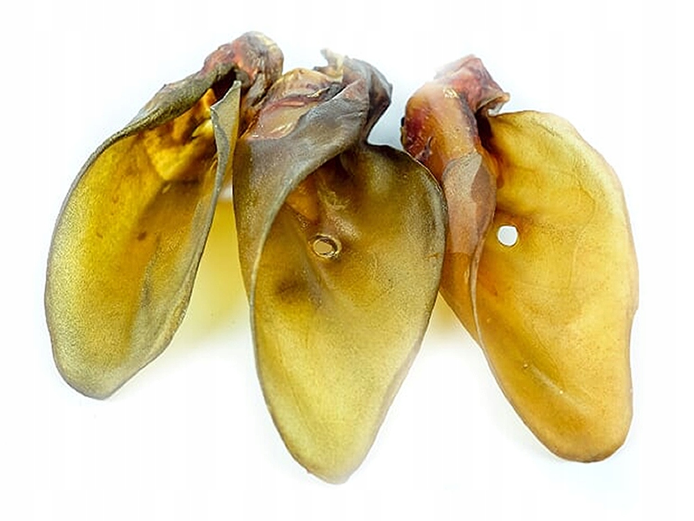 Levně Artex Kousátko Pro Psa Hovězí Uši Přírodní 20 Ks