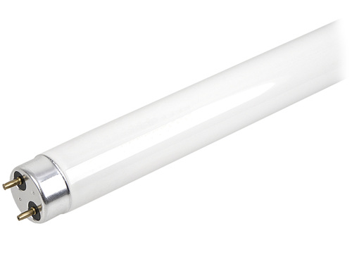 

Świetlówka Do Lamp Owadobójczych IKN12 LOS6 6W