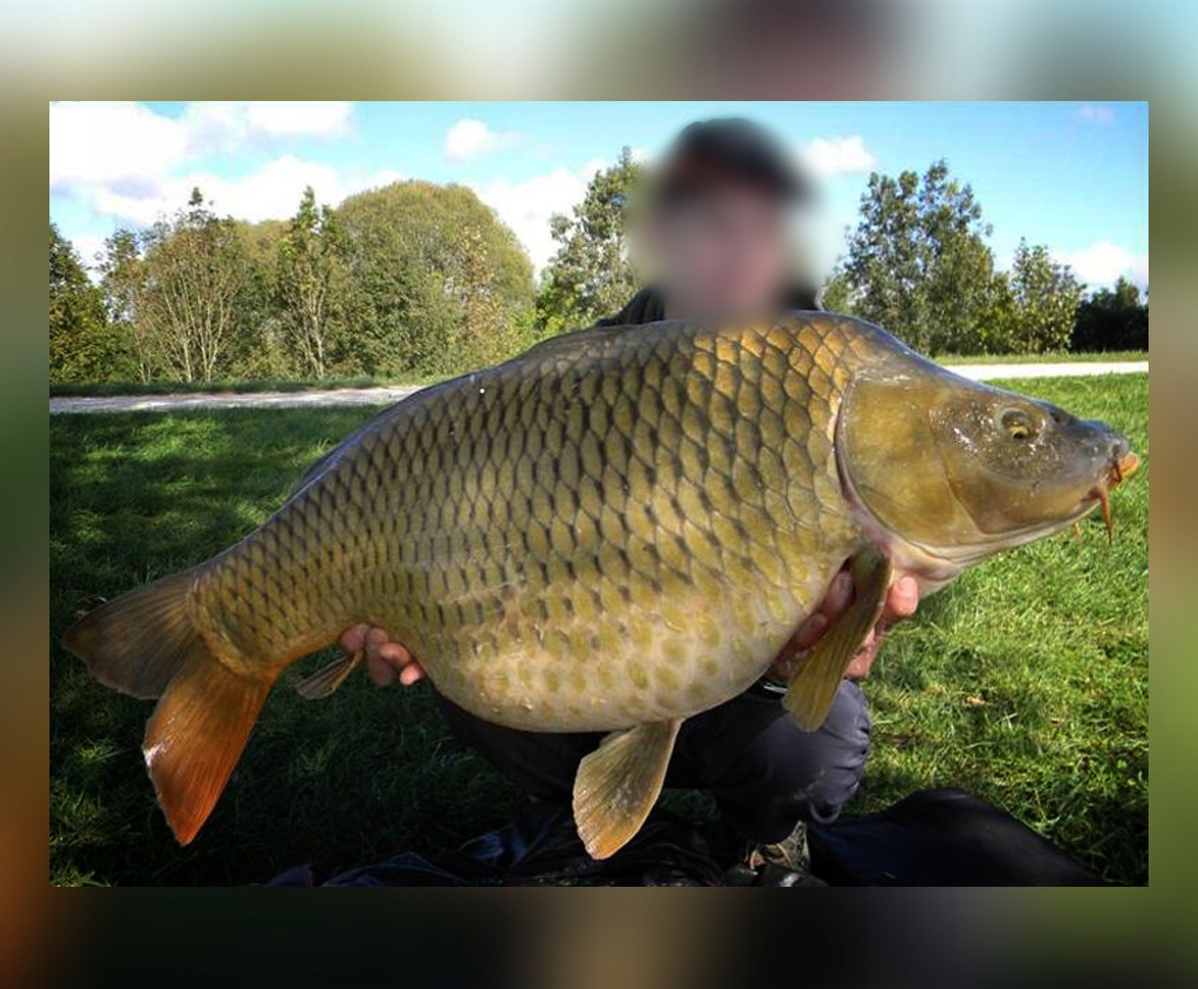 KAPELUSZ DLA FANÓW MISTRALL CZAPKA r. M 50-52cm Marka inna