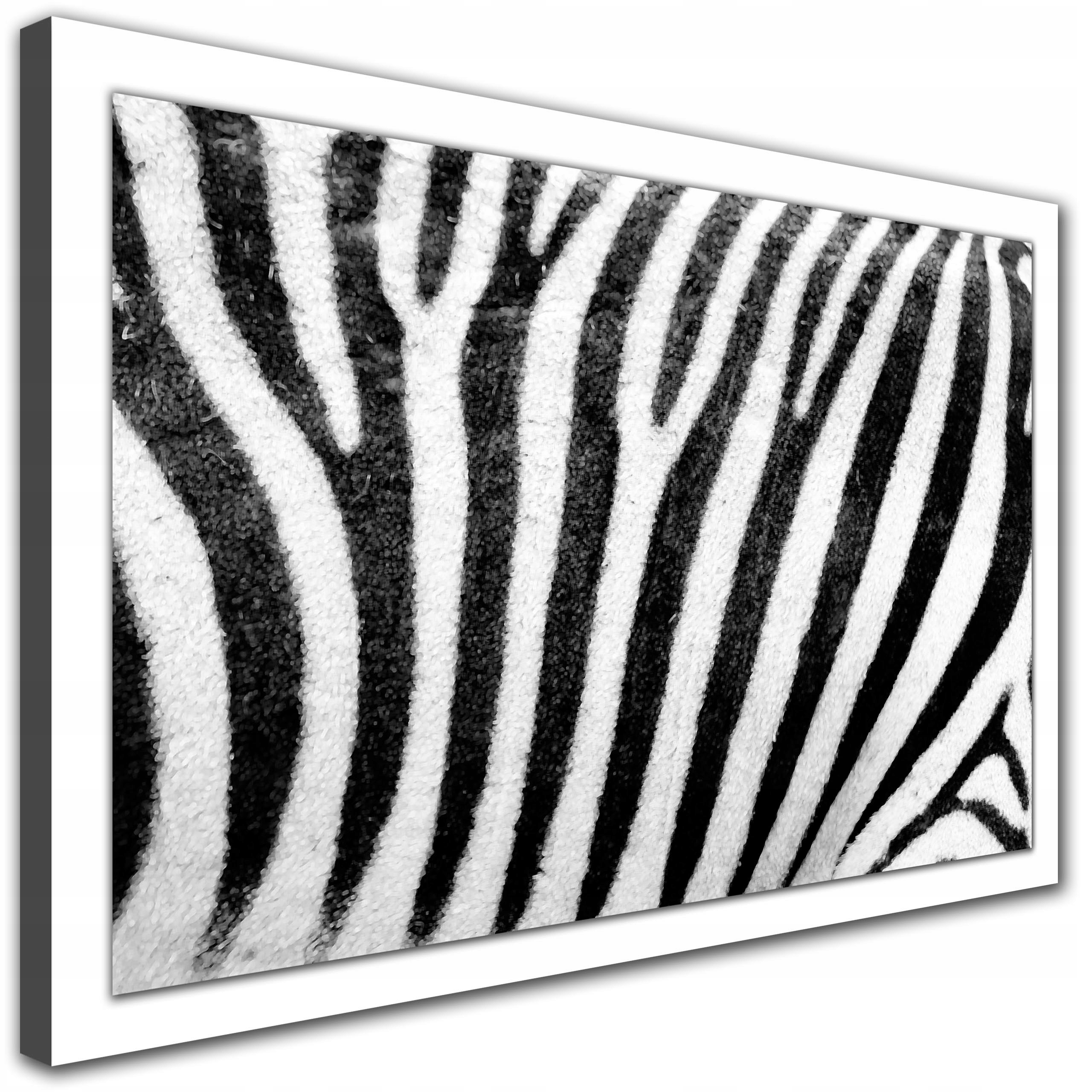 

Obraz do domu Zebra Sierść Mozaika