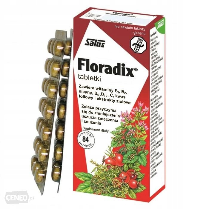 Floradix 84 Tabletki Witaminy Minerały żelazo 7603698004